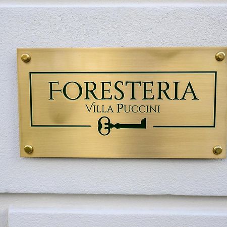 Foresteria Villa Puccini Casa Per Ferie Torre del Lago Puccini Extérieur photo